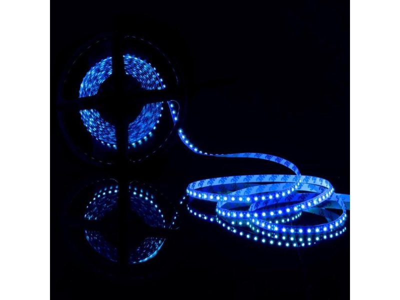 Holiday / String Lights |  Abi 300 Led Strip Light, 5M, Blue, High Brightness Smd 5050, 12V Decor Holiday / String Lights